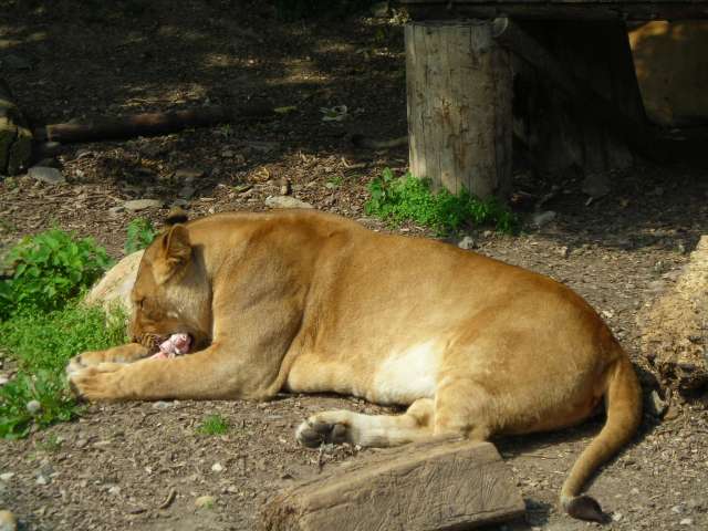DSCN7917.JPG