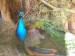 DSCN3938.JPG